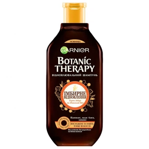 Шампунь Garnier Botanic Therapy Імбирне Відновлення 400 мл (3600542310512) зображення 1