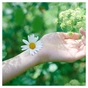 Гігієнічні прокладки Naturella Ultra Normal Plus 18 шт. (8006540225691) - зменшене зображення 5