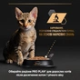 Вологий корм для кішок Purina Pro Plan Kitten З куркою 85 г (8445290673688) - зменшене зображення 8