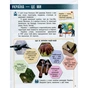 Підручник Я досліджую світ. Для 3 класу. У 2 частинах. Частина 1 - Н.М. Бібік, Г.П. Бондарчук Ранок (9786170962805) - зменшене зображення 10