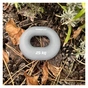 Еспандер PowerPlay PP-4336 Hand Grip Large 25 кг Сірий (PP_4336_Grey_25kg) - зменшене зображення 3