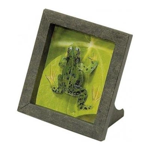 Збірна модель Умная бумага Рамка Жаба (249) зображення 1