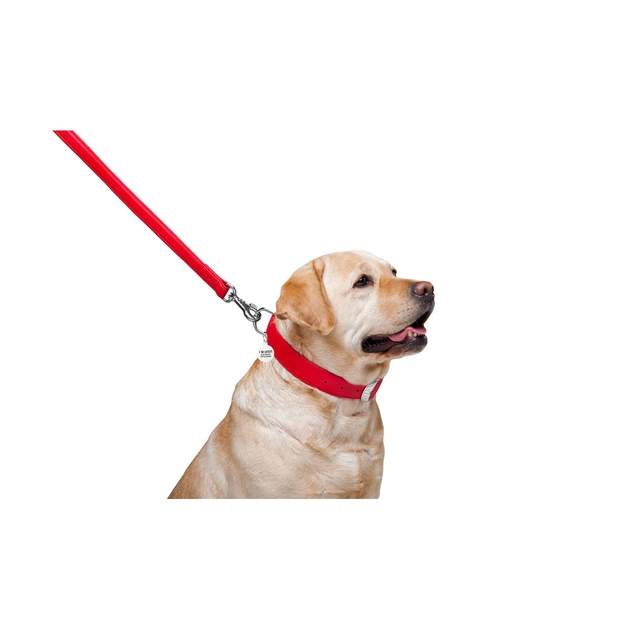 Повідець для собак WAUDOG Glamour шкіряний M-XXL червоний (33763) - picture 4