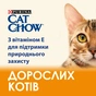 Сухий корм для кішок Purina Cat Chow Adult з качкою 15 кг (7613035394889) - зменшене зображення 5