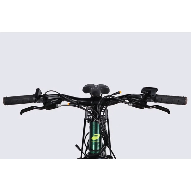 Електровелосипед Formula 29" eMOTION PLUS DD FR рама-19" 36B 12.5А*г 500Вт 2026 зелено-сірий (ELB-FR-29-257) - picture 6