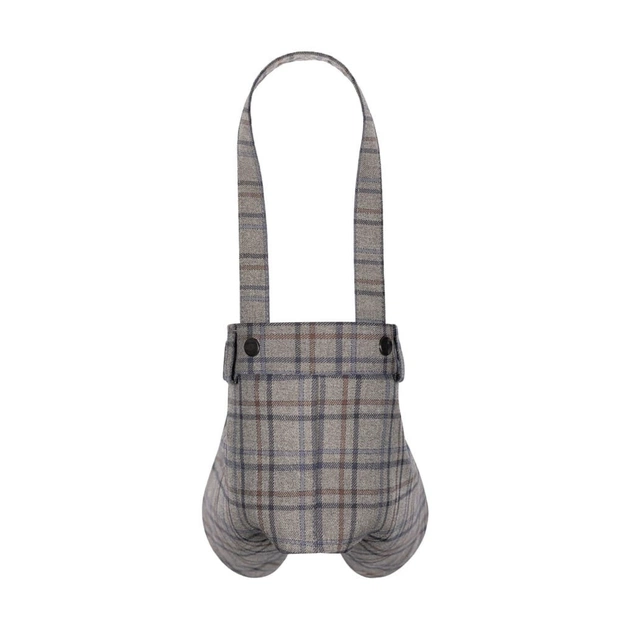 Штани для тварин Pet Fashion Leon XS2 (4823082445066) - зображення 1
