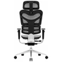 Офісне крісло GT Racer X-782 Light Gray (X-782 Light Gray (W17-1)) - зменшене зображення 5