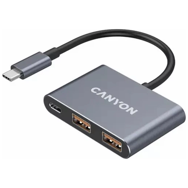 Концентратор Canyon hub DS-3 3in1 USB-C Dark Grey (CNS-TDS3) - зображення 1