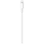 Дата кабель USB-C to Lightning 2.0m Model A2441 Apple (MQGH2ZM/A/MW2R3ZM/A) - уменьшенное изображение 3
