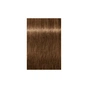 Фарба для волосся Schwarzkopf Professional Igora Royal Absolutes 7-50 Золотистий натуральний 60 мл (4045787282498) - зменшене зображення 2