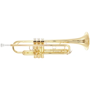 Труба Yamaha YTR-6335 изображение 1