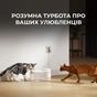 Поилка-фонтанчик для животных MOVA WF10 Pro - уменьшенное изображение 7