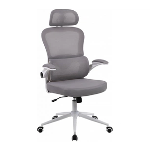 Офісне крісло GT Racer B-5880 White/Gray зображення 1