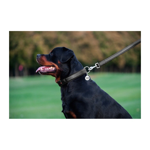 Повідець для собак WAUDOG Glamour шкіряний M-XXL чорний (33761) - picture 8