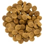 Сухий корм для собак Savory Medium Breed rich in Fresh Turkey and Lamb 1 кг (4820232630259) - зменшене зображення 4
