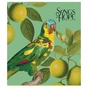 Зошит Школярик Birds 60 аркушів клітинка (060-3410K) - зменшене зображення 5