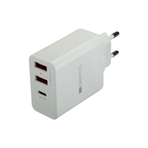 Зарядний пристрій Canyon CNE-CHA08W зображення 1