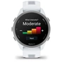 Смарт-годинник Garmin Forerunner 170, GPS, Whitestone/Cloud Blue, GPS смарт-годинник (010-03920-01) - зменшене зображення 7