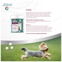 Вітаміни для собак 8in1 Excel Multi Vitamin Small Breed мультивітамін 70 шт (4048422183990) - зменшене зображення 10
