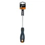 Викрутка Neo Tools Torx T20 x 100 мм, CrMo (04-045) - зменшене зображення 2