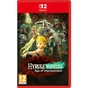 Игра Nintendo HYRULE WARRIORS AGE OF IMPRISONMENT, картридж (0045496313500) - уменьшенное изображение 1