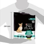 Сухий корм для собак Purina Pro Plan Small&Mini Sensitive Digestion зі смаком ягняти 700 г (7613036611299) - зменшене зображення 3