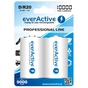 Аккумулятор everActive D/HR20 10000mAh BL 2шт - уменьшенное изображение 1