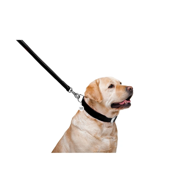 Повідець для собак WAUDOG Glamour шкіряний M-XXL чорний (33761) - picture 4