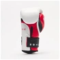 Боксерські рукавички Leone GN113 IL Tecnico N3 White 10 унцій (GN113_White_10oz) - зменшене зображення 5