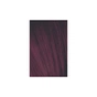 Фарба для волосся Schwarzkopf Professional Igora Royal 5-99 60 мл (4045787206845) - зменшене зображення 2