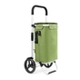 Сумка-візок ShoppingCruiser Allround Green (650070) (930787) - зменшене зображення 1