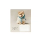 Тетрадь Школярик Star Fashion pets 12 листов клетка (012-3687K) - уменьшенное изображение 5