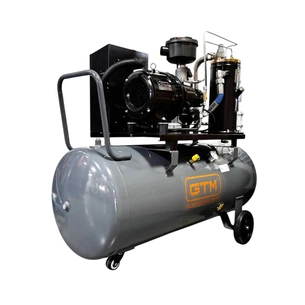 Компрессор GTM винтовой, ресивер 200л, 680л/мин, 5.5kW, 8бар, 380V, инвертор (DLG5.5V/inv) изображение 1