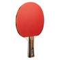 Комплект для настільного тенісу Joola Family Advanced 4 Bats 6 Balls (54823) (930800) - зменшене зображення 2