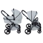 Коляска Anex 2 в 1 l/type frost (LT-10T) - зменшене зображення 1