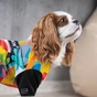 Футболка для тварин Pet Fashion "Mood" XS (4823082420810) - зменшене зображення 6