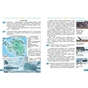 Підручник Я досліджую світ. Для 4 класу ЗЗСО у 2-х частинах. Частина 1 - Н.М. Бібік, Г.П. Бондарчук Ранок (9786170969002) - зменшене зображення 7
