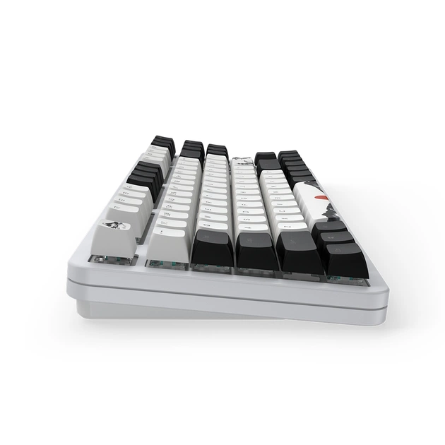 Клавиатура Dark Project ALU87 Fuji V2 (DPKB_FUJI_87_ANSI_UA) - изображение 3