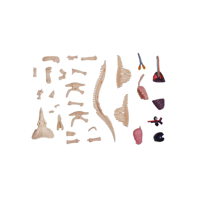 Пазл 4D Master Master Трицератопс (FM-622014) - picture 9