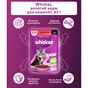Вологий корм для кішок Whiskas Kitten Яловичина в соусі 85 г (5900951301957) - зменшене зображення 3