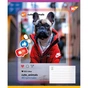Зошит Yes Cute animals А5 24 аркушів лінія (767730) - зменшене зображення 5
