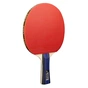 Комплект для настільного тенісу Joola Family Advanced 4 Bats 6 Balls (54823) (930800) - зменшене зображення 3