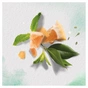 Шампунь Herbal Essences Алое та олія авокадо 380 мл (8001841841434) - зменшене зображення 6