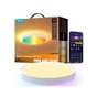 Світильник Govee 38cm Smart Ceiling Light Pro, RGBICWW, WI-FI/Bluetooth, білий (H60A6C01) - зменшене зображення 1