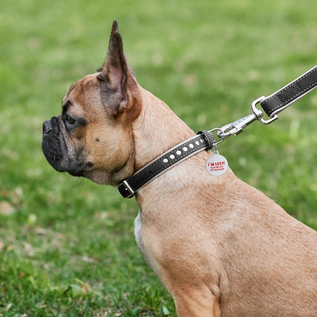 Нашийник для тварин WAUDOG Soft з QR паспортом, металеві прикраси M Ш 25 мм Д 38-49 см (7206) - picture 5