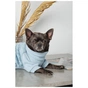 Светр для тварин Pet Fashion Fur М (4823082436064) - уменьшенное изображение 5