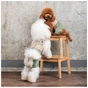 Костюм для тварин Pet Fashion Patrik XXS (4823082434381) - зменшене зображення 7