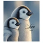 Тетрадь Школярик Star The Love of touch 96 листов клетка (096-3665K) - уменьшенное изображение 1