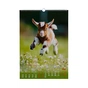 Календарь Buromax настенный А3 2027 год, 1 пружина, Cute goat (BM.210601) - уменьшенное изображение 6