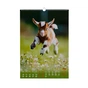 Календар Buromax настінний А3 2027 рік, 1 пружина, Cute goat (BM.210601) - зменшене зображення 6